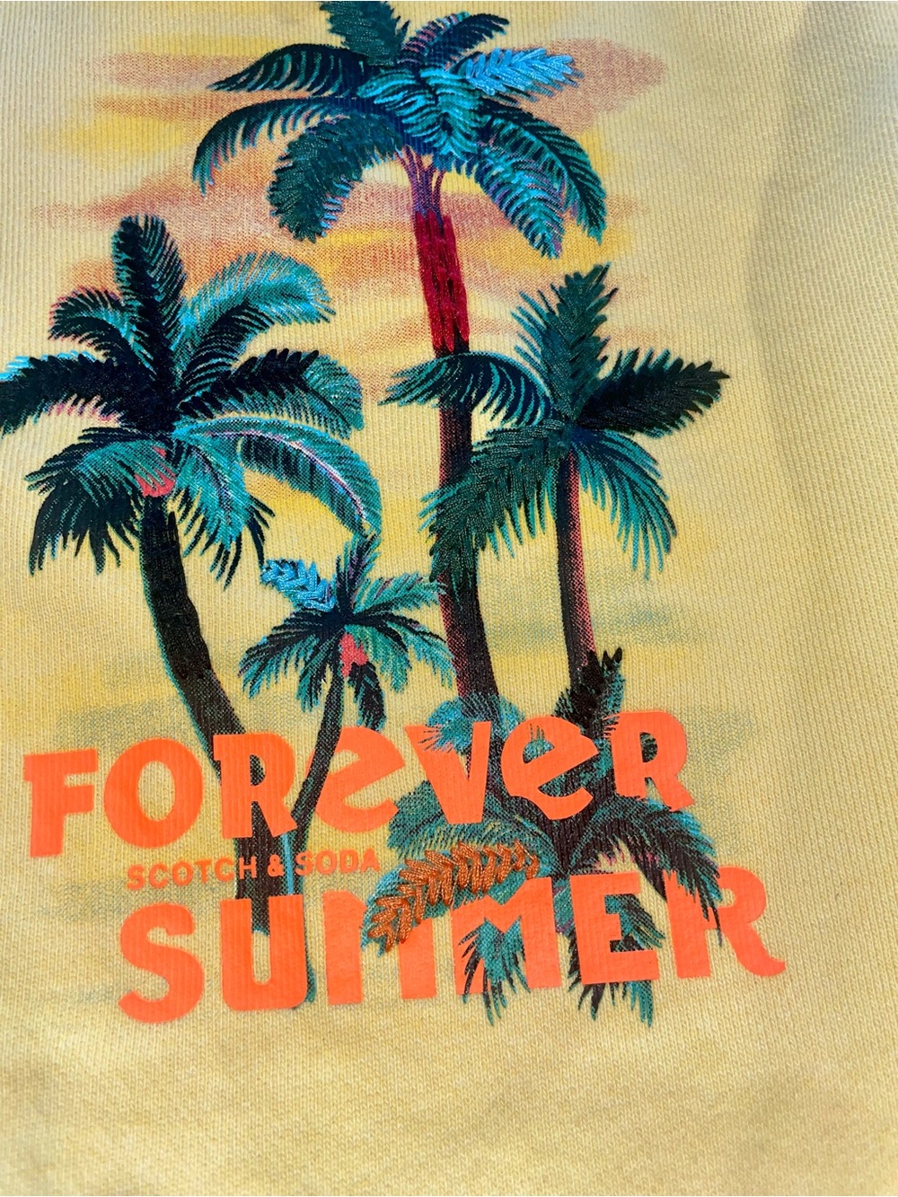 Scotch and Soda Forever Summer Tropical Palm Graphic Hoodie